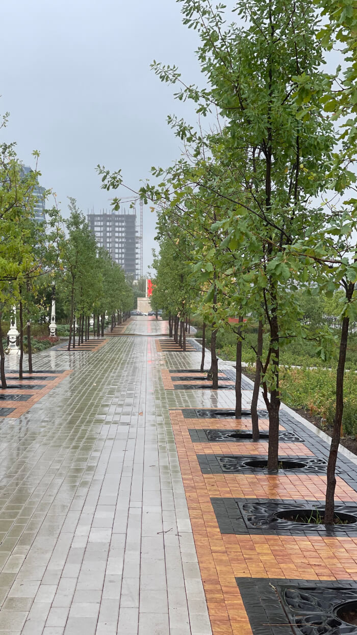 Приствольная решетка для дерева ZKING CRUST 1.2х1.2м Черная в Тамбове фото