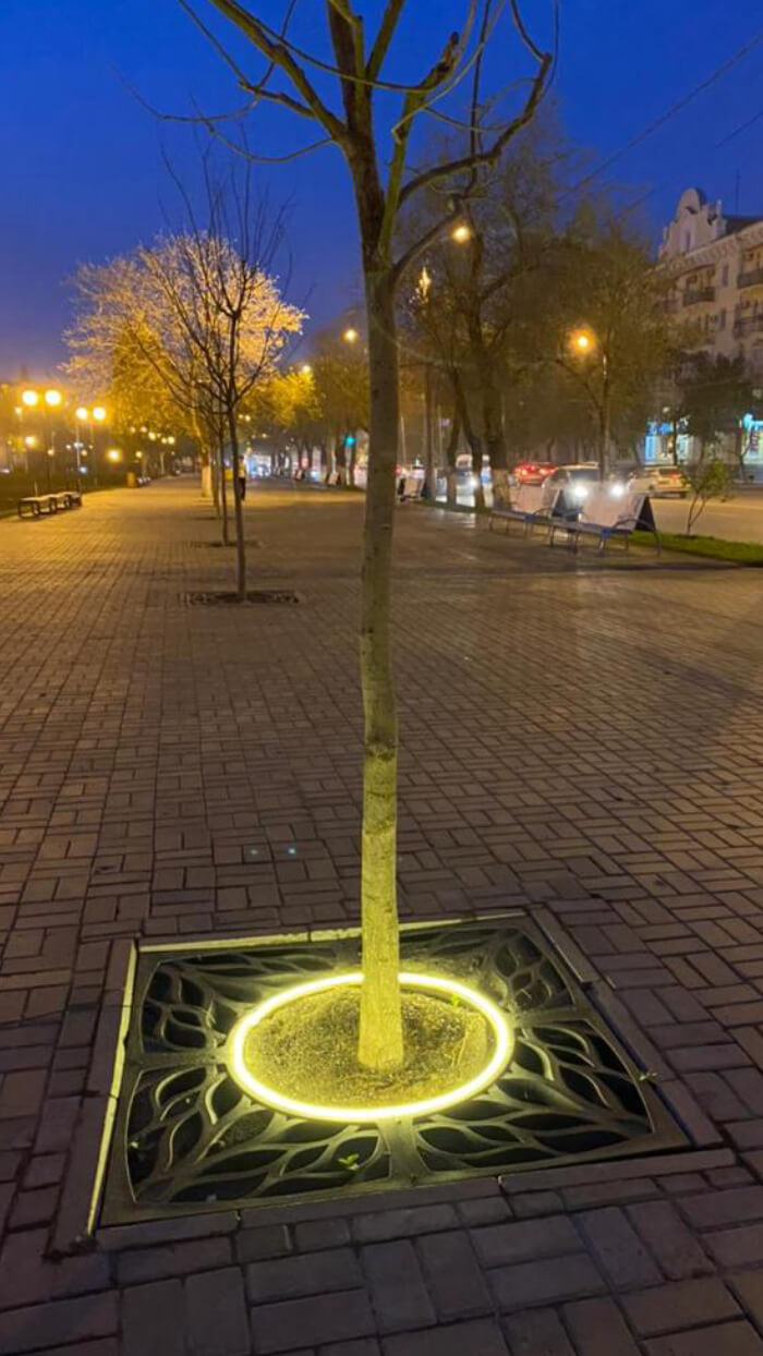 Приствольная решетка для дерева ZKING CRUST 1.2х1.2м Черная в Тамбове фото